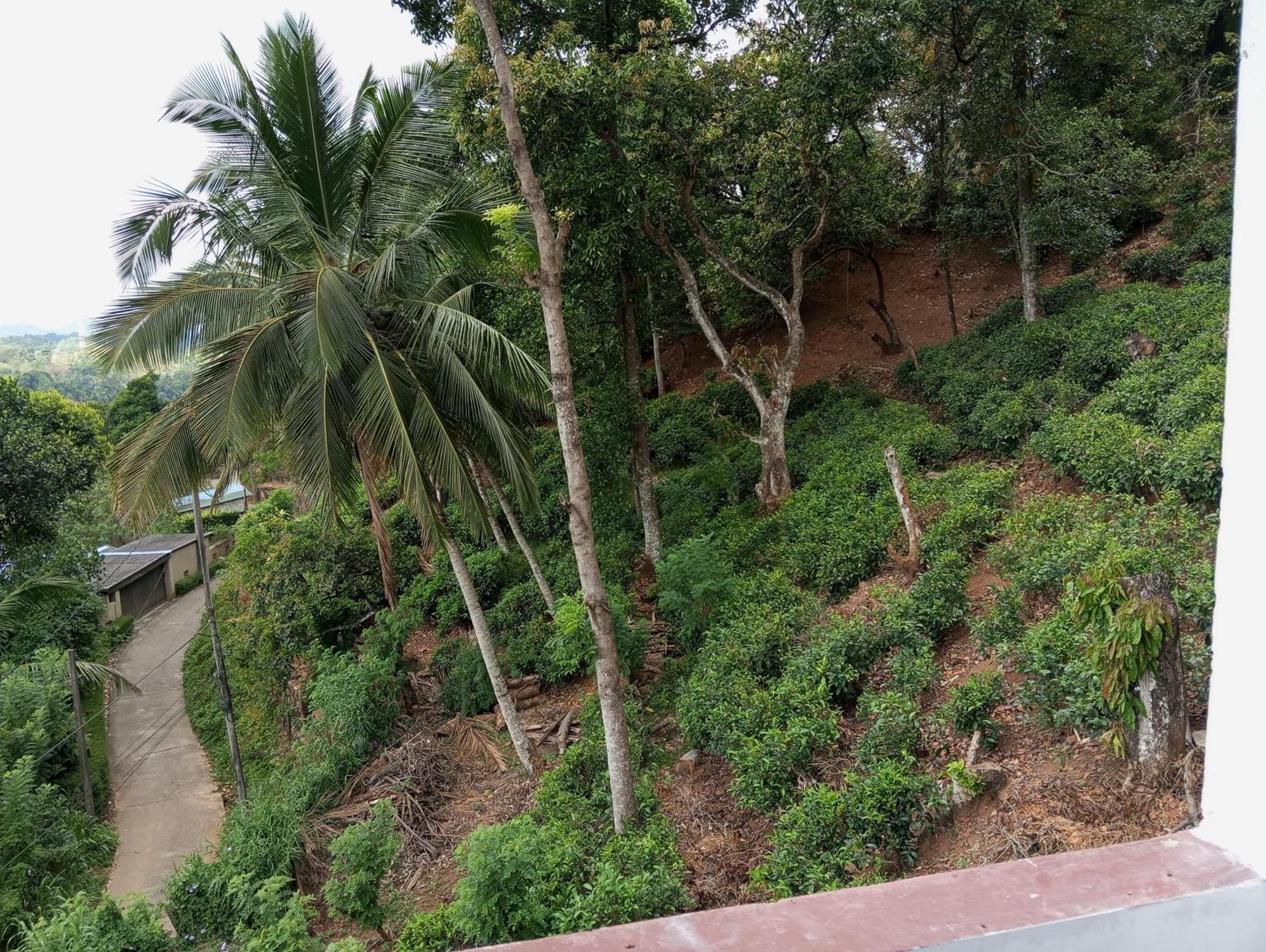 Mountain Bliss Villa Peradeniya Værelse billede